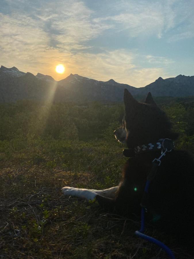 Nydelig Leilighet Pa Kreta I Lofoten Kabelvåg Kültér fotó